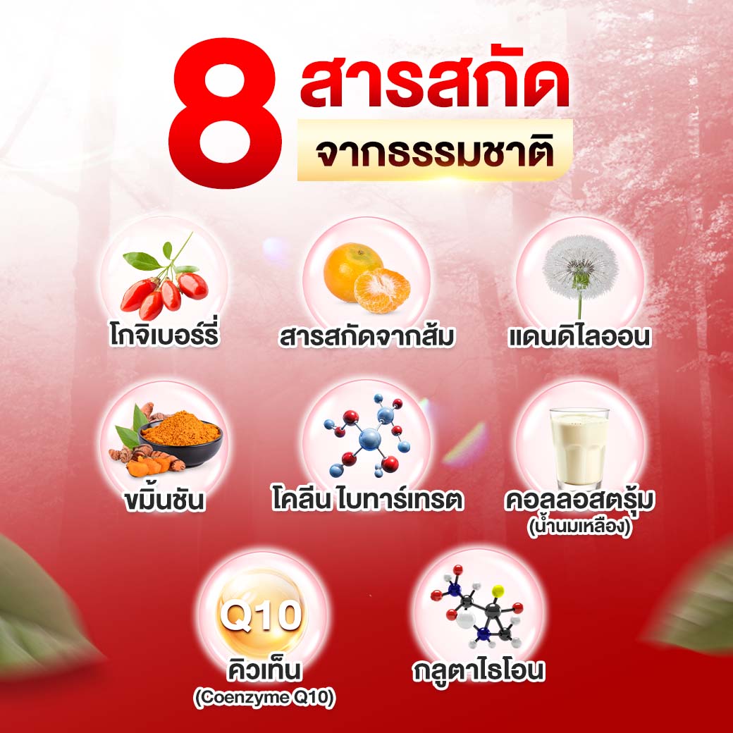 ส่วนประกอบสำคัญ